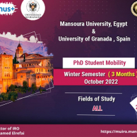 PhD Student Mobility to University of Granada, Spain 